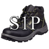 S1P