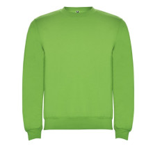 Реглан Clasica 280 ТМ Roly, салатовый oasis green