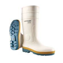 Сапоги DUNLOP Acifort A782631, цвет зеленый